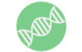 In situ hybridization probes - Genetics