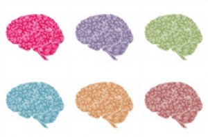 Animal brain Generon