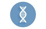Library quantifcation standards for Illumina®