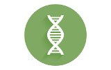 Library quantifcation kits for Illumina®