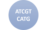 SuperFast NGS DNA Library Preparation Kits for Illumina